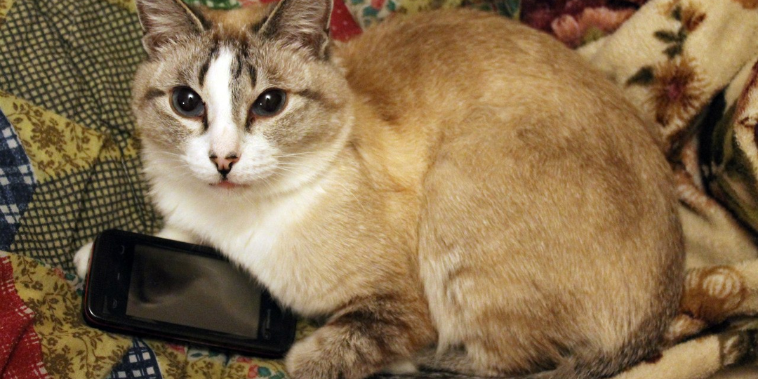 Милка ушла. В лето.