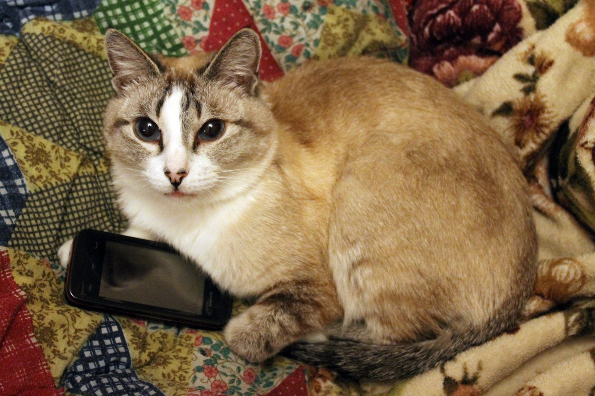 Милка. Около 10 лет.