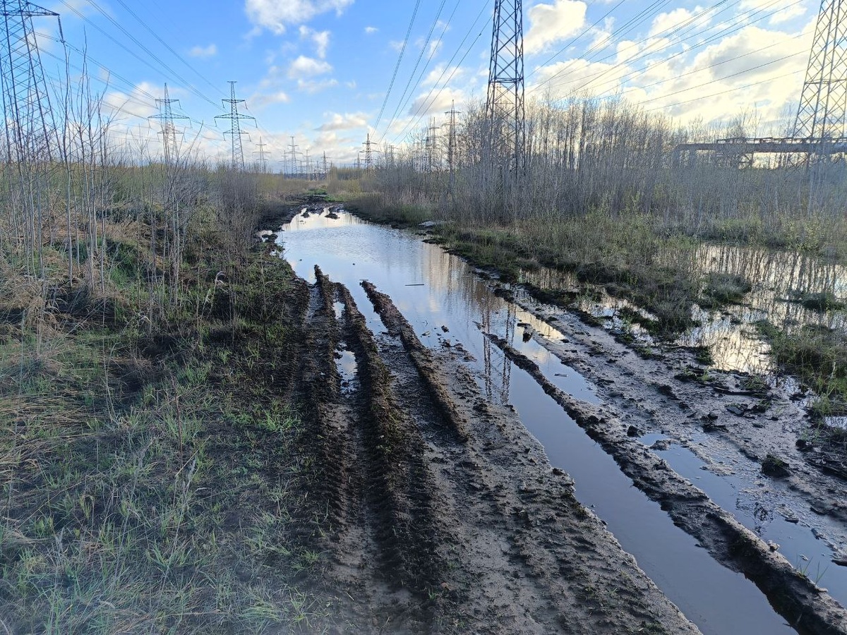 Маршрут мог бы быть и живописнее, но всё равно запомнился.