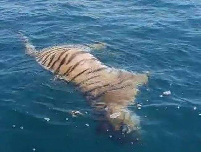    Источник фото: