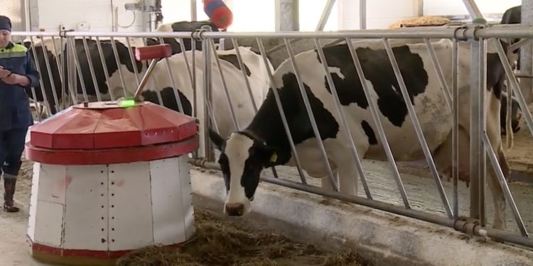    скриншот с видео