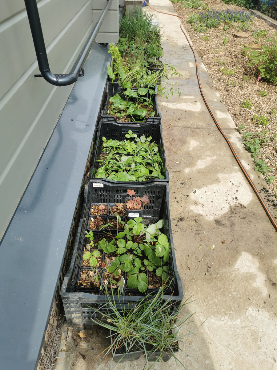 Пройти пока можно, и на том спасибо) Часть за углом еще стоит, совсем в тени