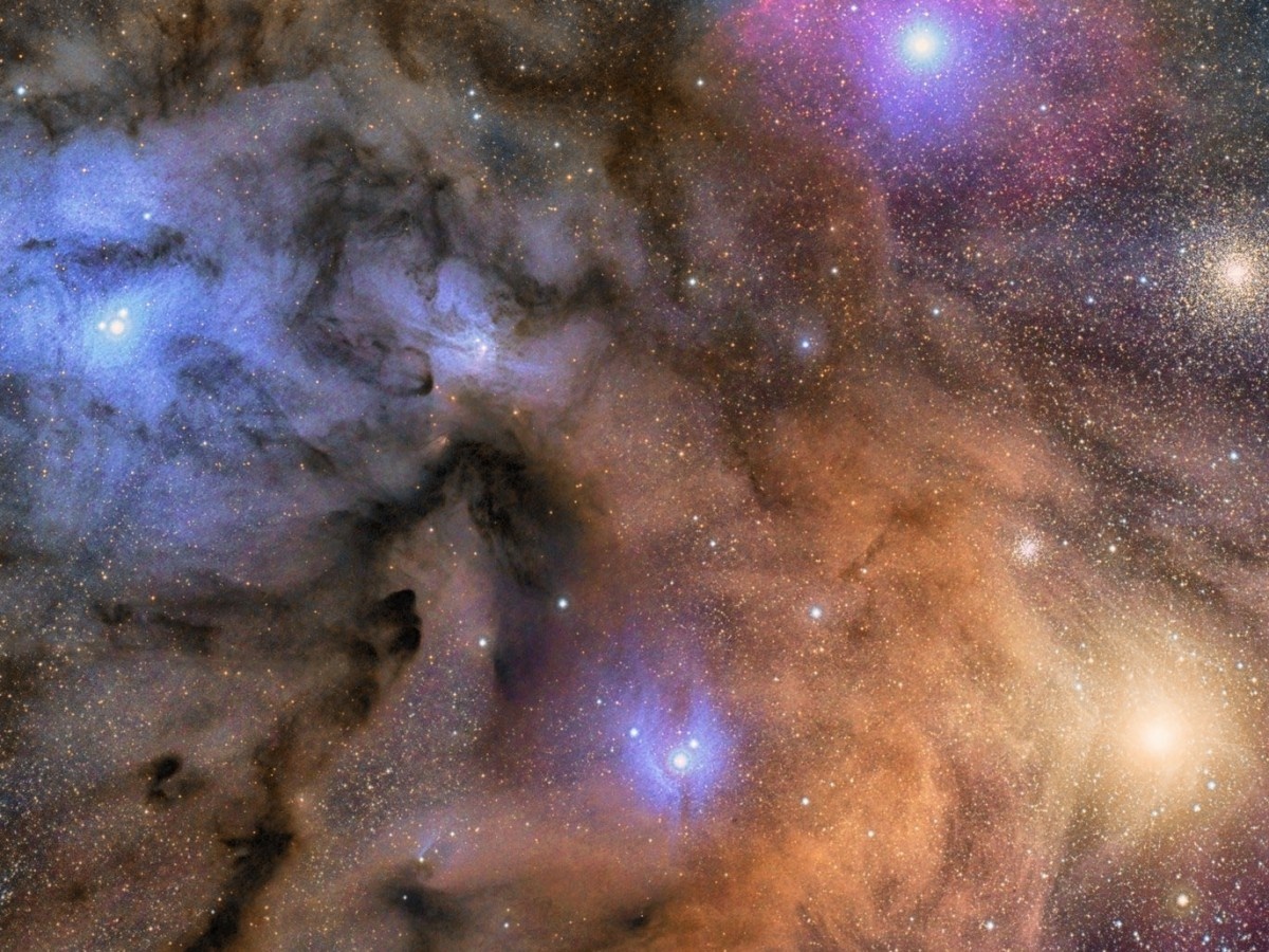    Астрофотограф запечатлел «звёздные ясли» Ро Змееносца