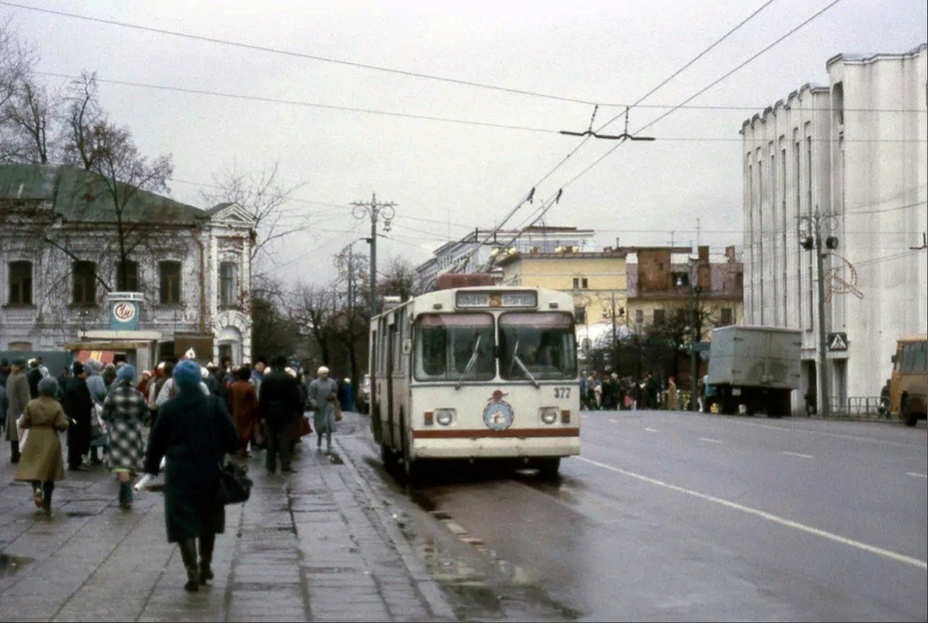 он же!фото взято из открытых источников в интернете для иллюстрации!(обламайся Дзен)