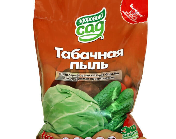 Табачная пыль от вредителей. Заворачивается ли в кочаны? 3 способа применить