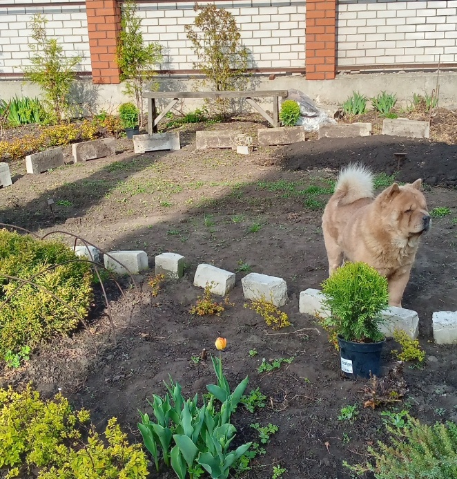 Кирпичами наметила границы будущего газона