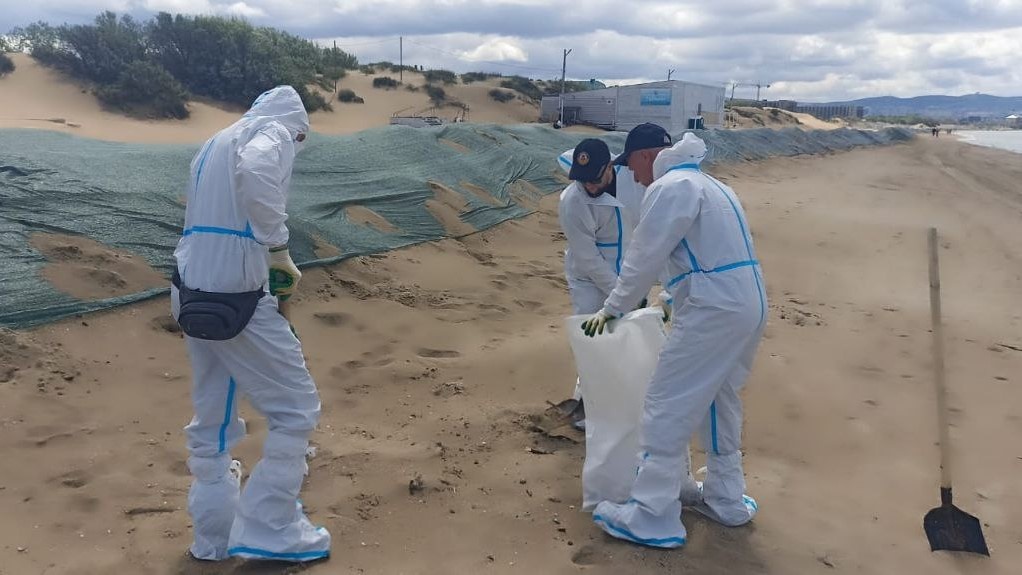     Фото: Пресс-служба администрации Краснодара