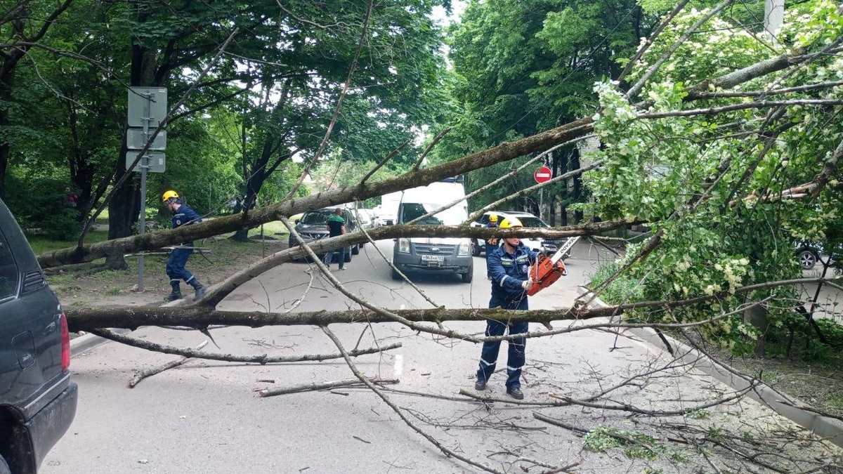     Фото: Пресс-служба администрации Краснодара