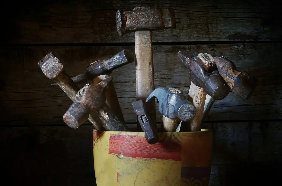     Студенческие выставки мая 2025: неопределенность, трансфуризм и авторская фотография