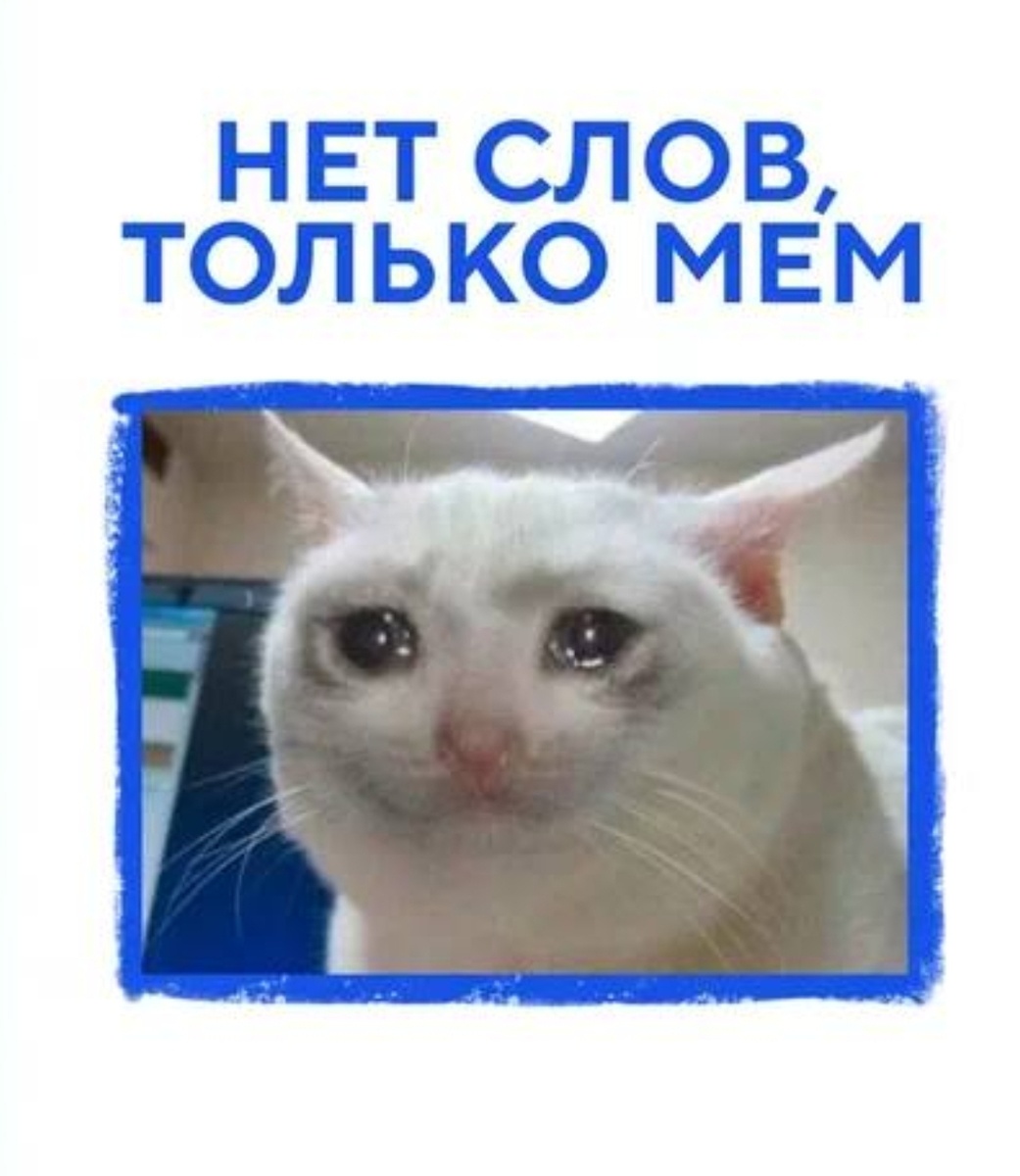 Моя реакция на новые слова 