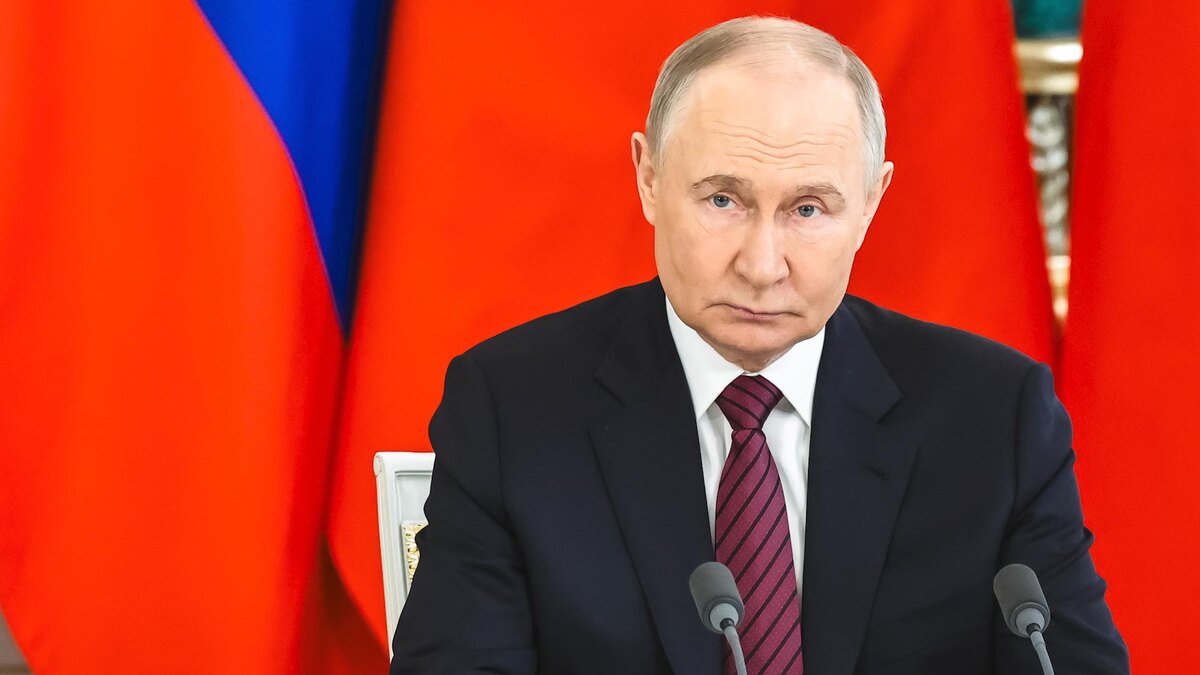 Фото: Roman Naumov/URA.RU/globallookpress.com