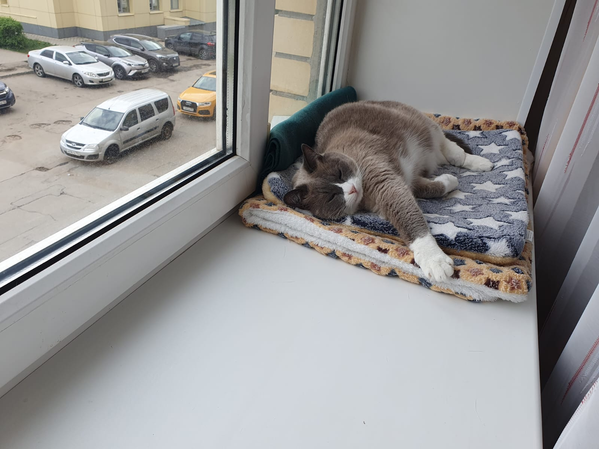 Что может быть лучше сна?