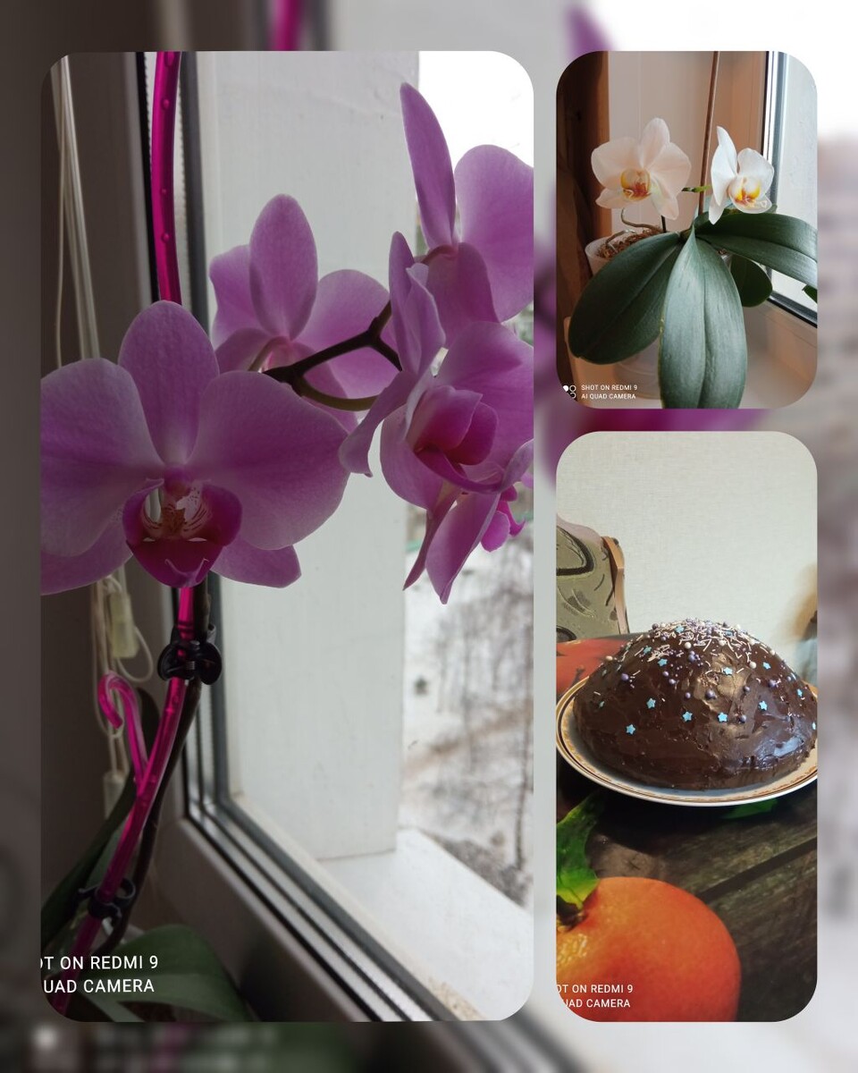 Новогоднее настроение. Фото автора.