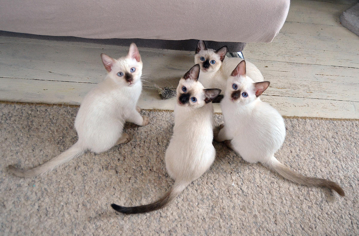 Сейчас немного отдохнем и опять играть пойдем