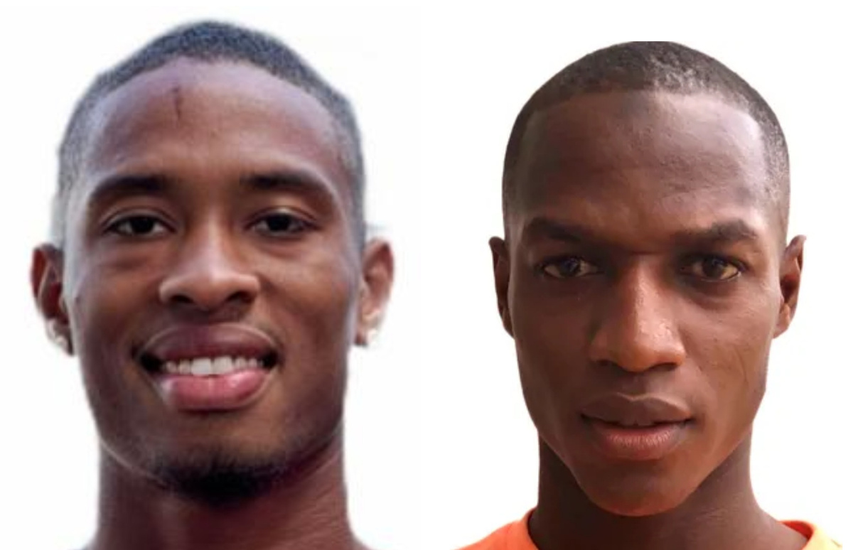 Фаринья и Камара