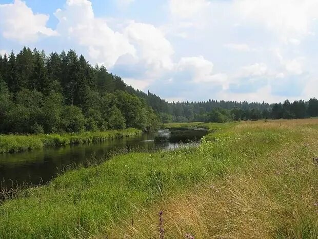 Поведь.Фото из интернета 