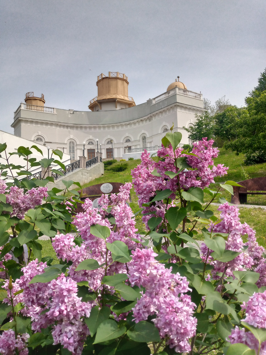 Здесь и далее по тексту фото автора 