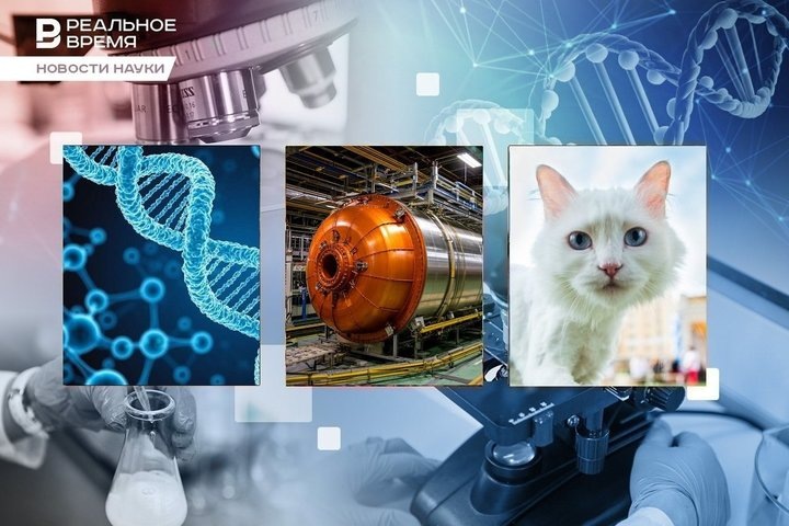 Фото: Реальное время