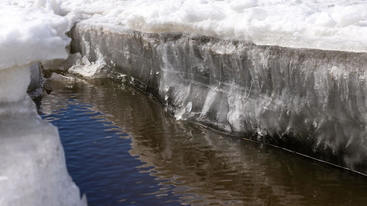    Фото: Федор Воронов/«Ямал-Медиа»