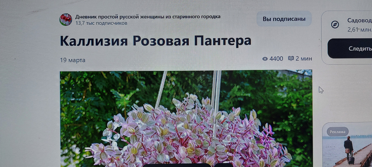   У автора этого блога вообще особая манера изложения и она как бы на привычном глазу подписчиков визуальном и некотором текстовом материале постепенно "накручивает и накручивает на свое веретено=повествование в блоге" разноцветную нить, у которой где-то уже спрятан конец и впереди нам, читателям, вместе с автором предстоит еще наматывать и наматывать то, что она старается "напрясть" своими рассказами о своей жизни в огромный клубок. Мне автор в целом нравится.