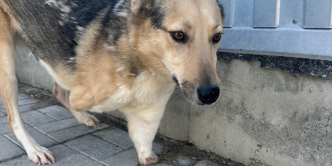 Ритуся – маленькое чудо с большим сердцем: