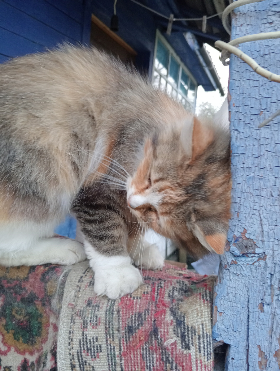 Кокетничает!