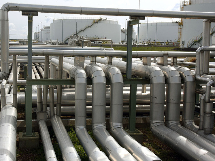 Фото: Waltraud Grubitzsch/ZB/Global Look Press