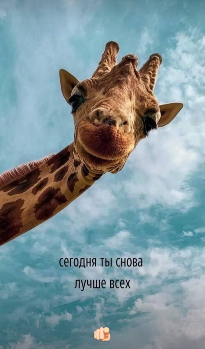 Лидерство и инициативность