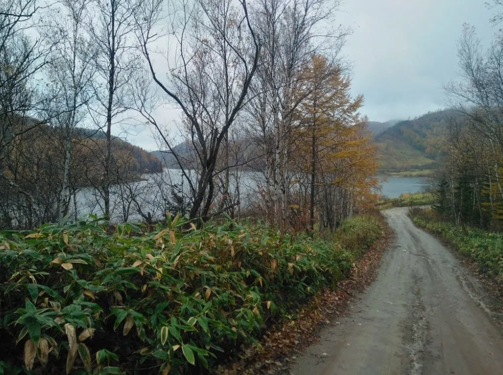 До Поляковского озера грунтовая дорога