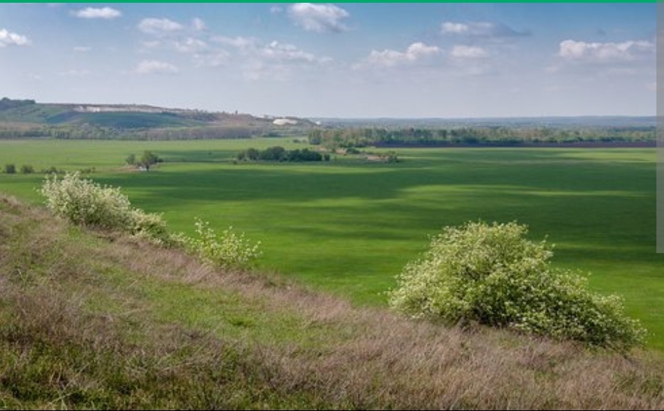 Дивногорье