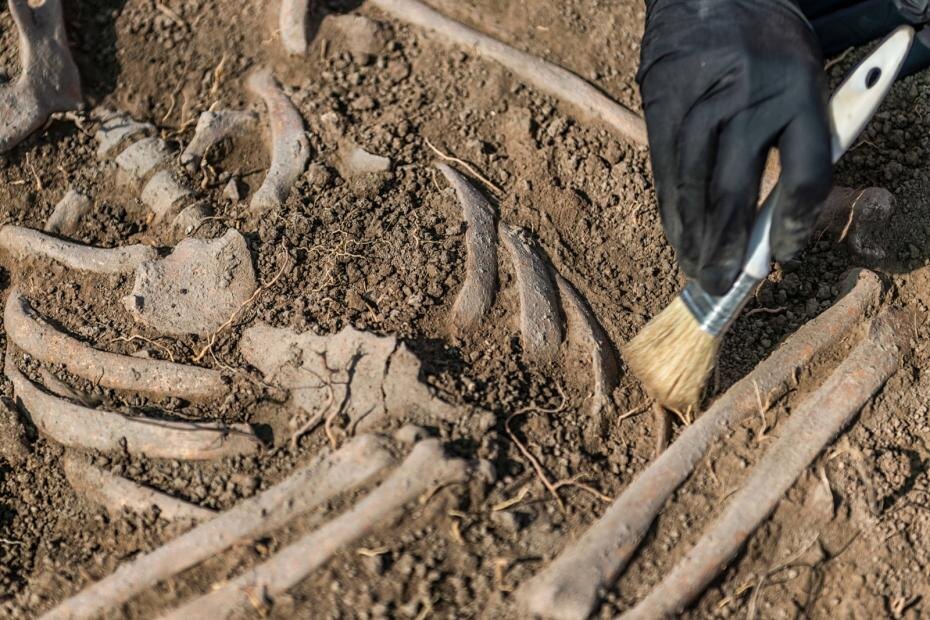    Shutterstock/FOTODOM