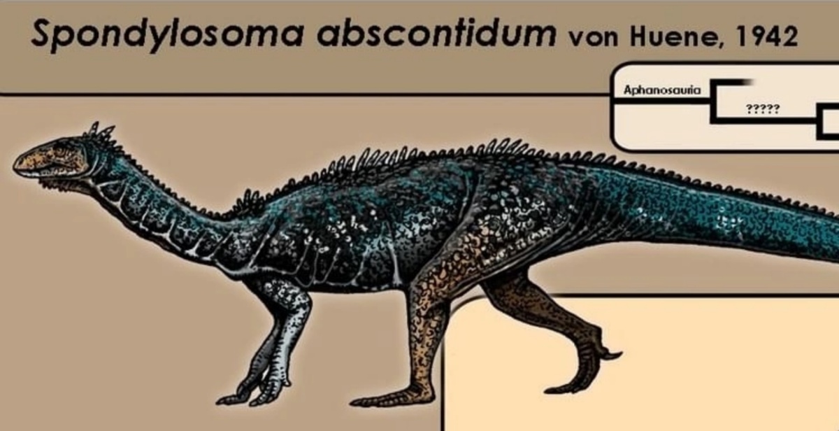 Спондилосома.