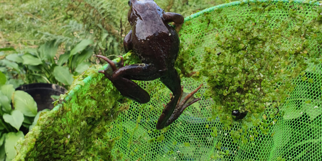 Цена одной самоуверенности. История Карины.