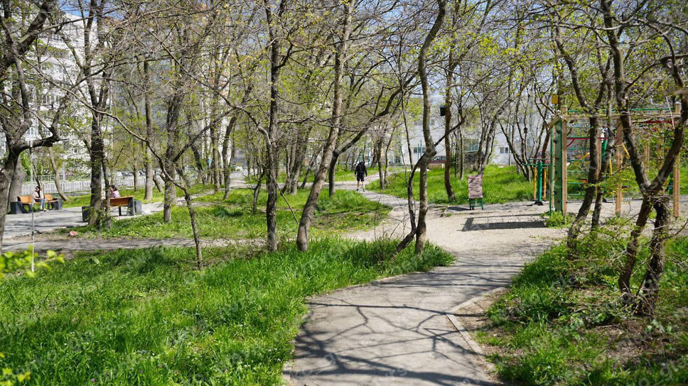 Фото: telegram-канал мэрии Новороссийска