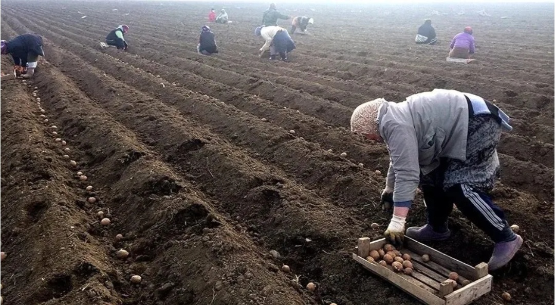 Советское детство