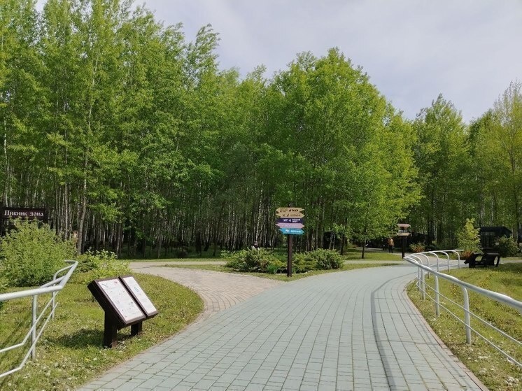     В зоопарке Белгорода заработал Бабушкин дворик, фото: МК в Белгороде (архив)