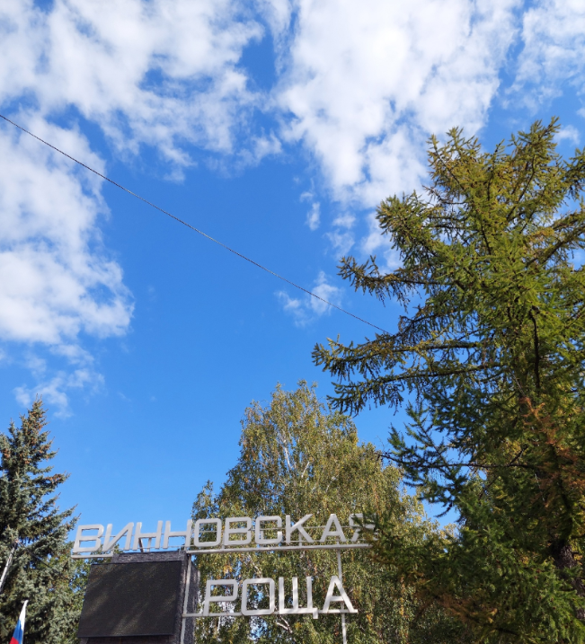 Винновская роща. Фото автора. 