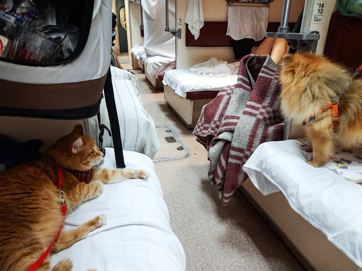 Ну и чего ты переживаешь, сейчас твой человек вернётся