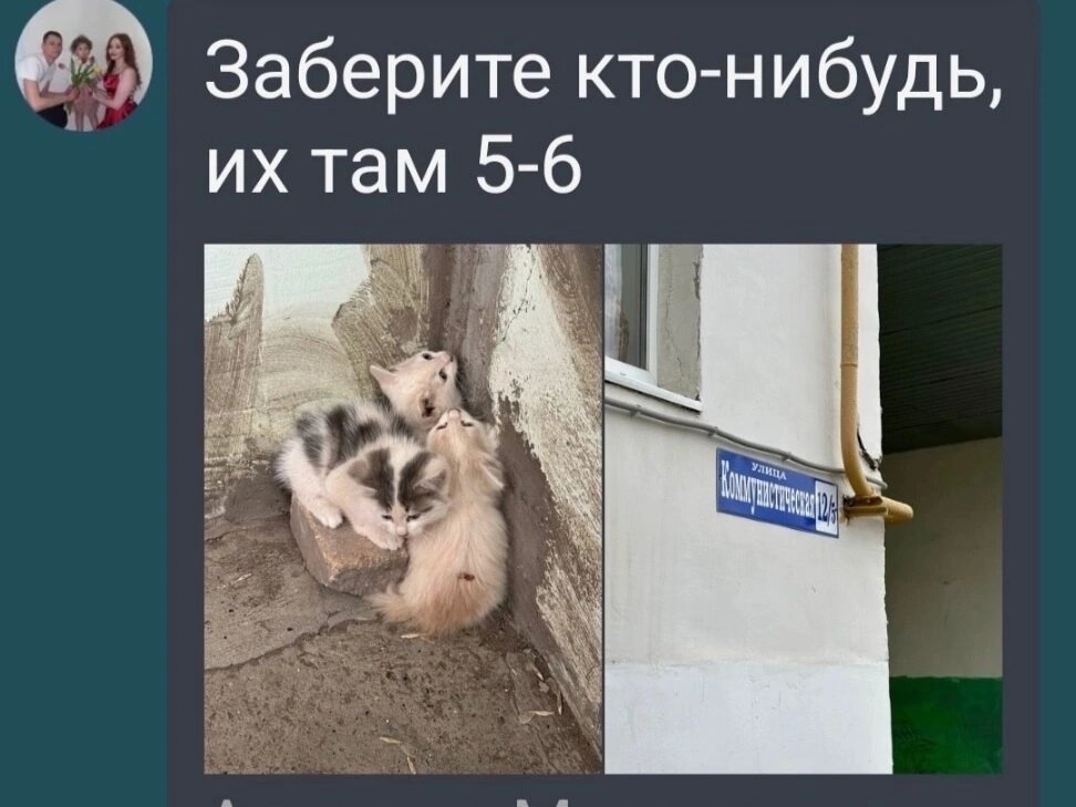 Это объявление вышло в нескольких городских пабликах