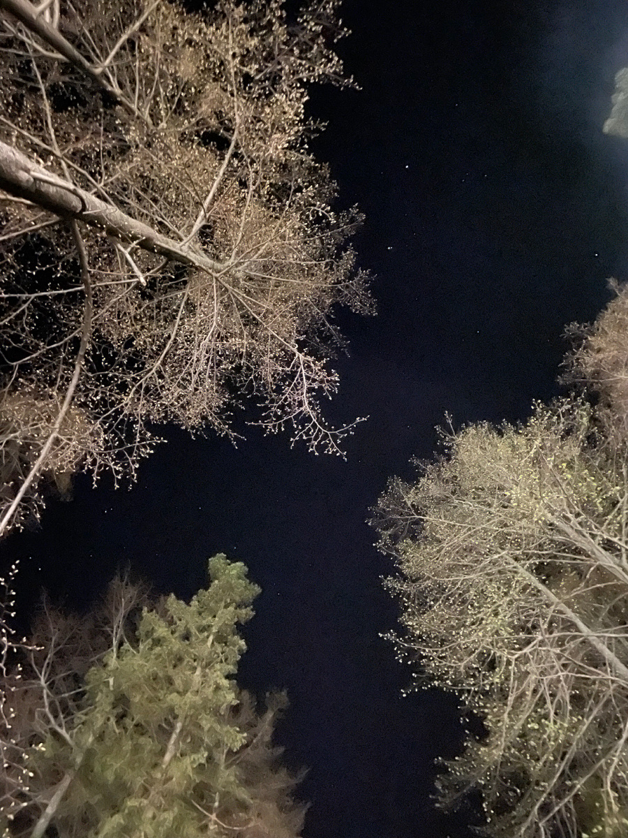 Фото из личного архива 