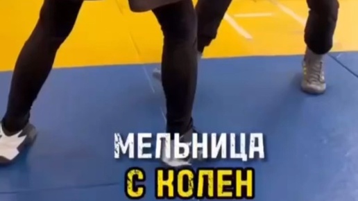 Vermoje �������� ���� ����: ����.