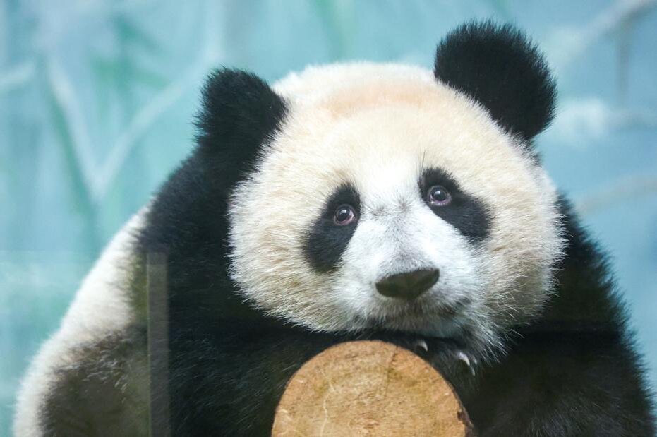    Сергей Петров/NEWS.ru