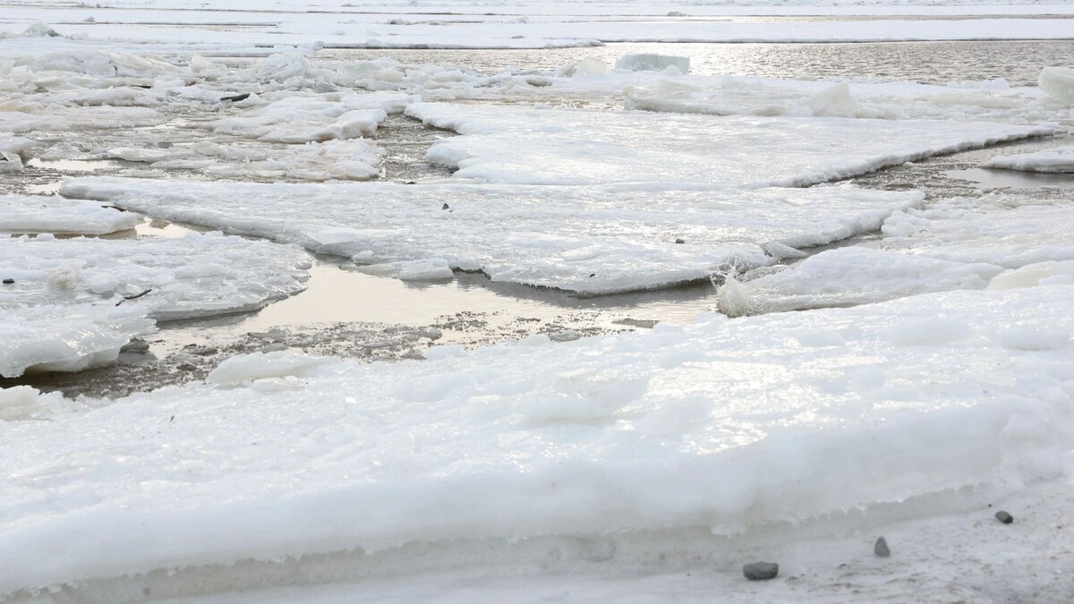    Фото: Андрей Ткачев/«Ямал-Медиа»
