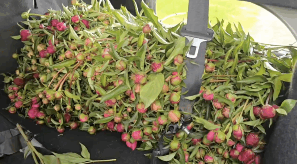    Фото: t.me/kanevskaya_OMVD