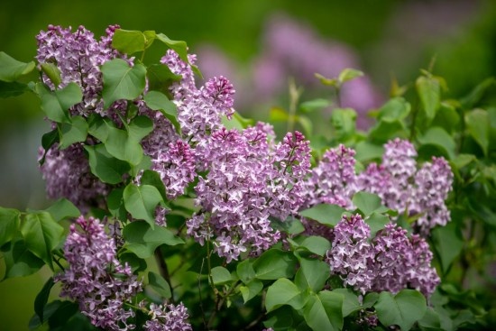 Фото: Юлия Федотова