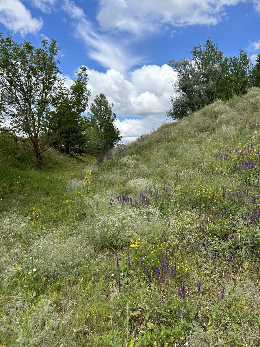 Самарская область