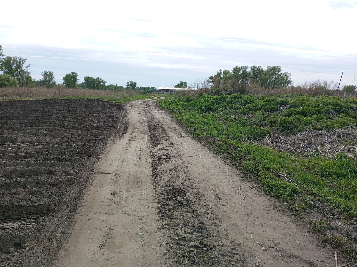 по проселочной дороге