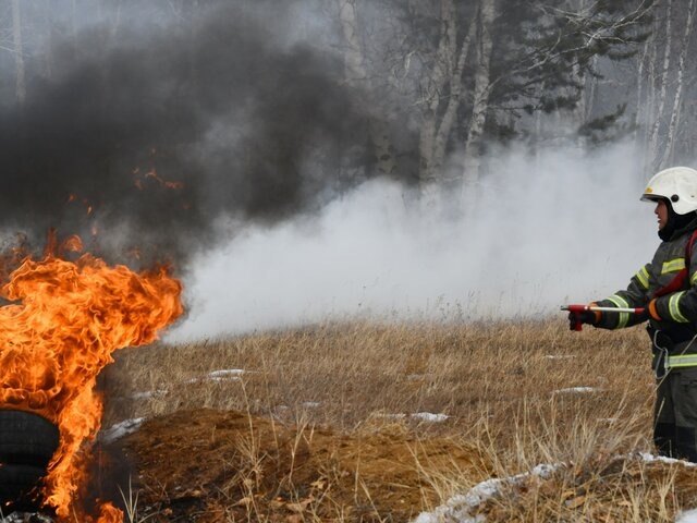    Фото: РИА Новости/Евгений Епанчинцев