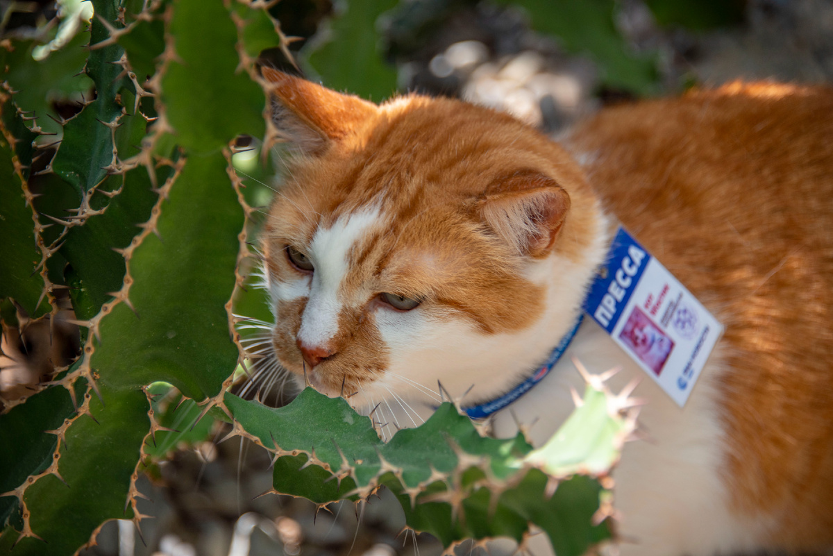 Эля, не переживай, я только смотрю.