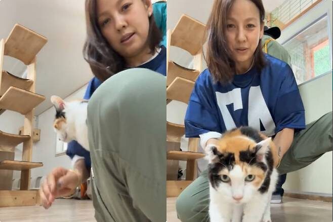    источник: @lee_hyolee